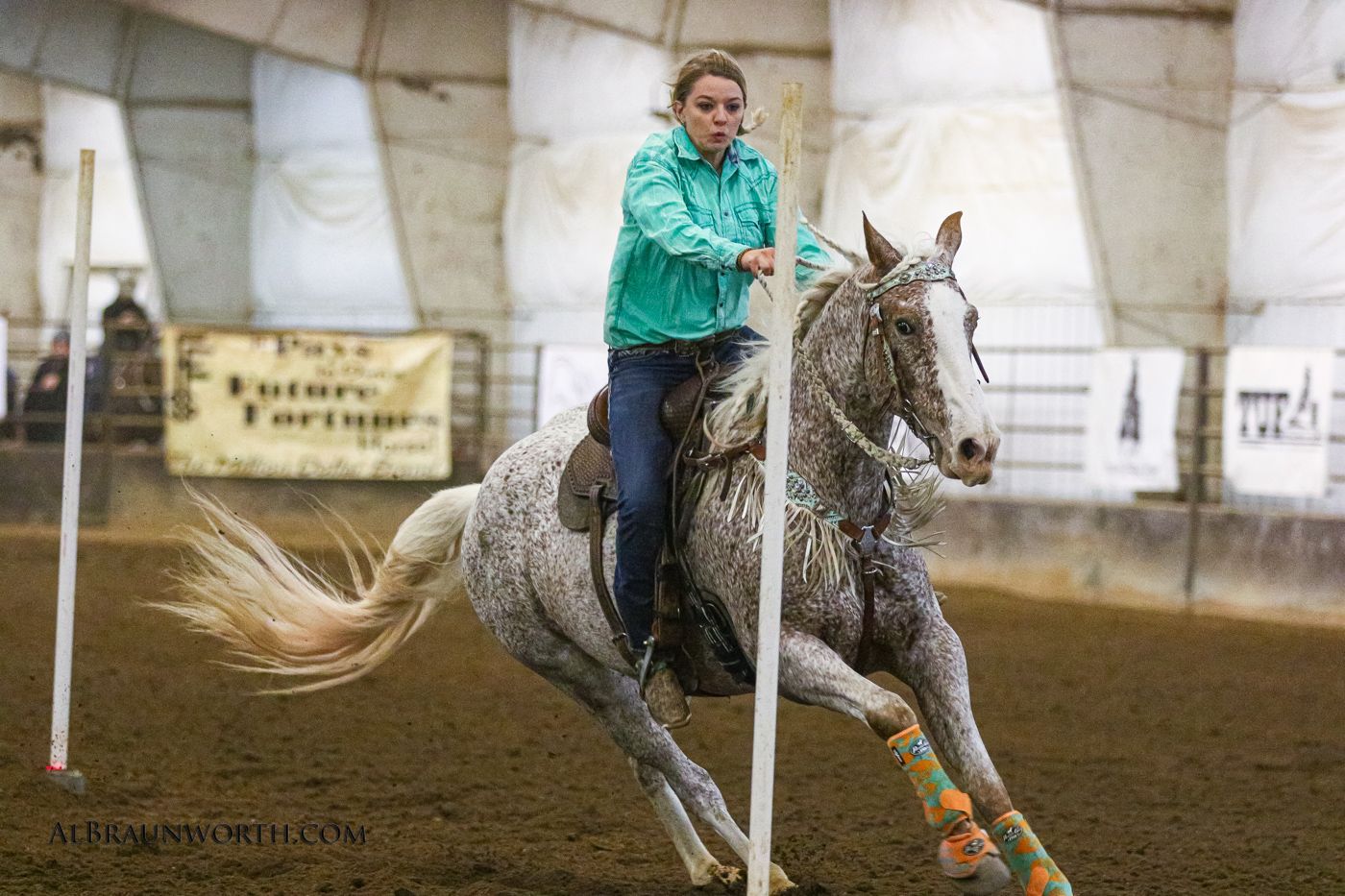 Appaloosa running the pole pattern